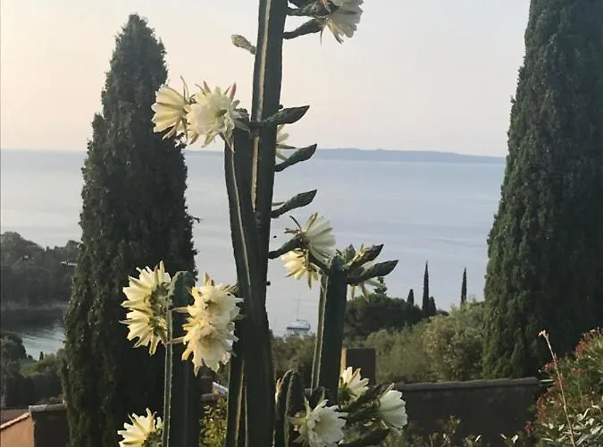 Maison Calme Tres Belle Vue Lavandou Σπίτι διακοπών *
