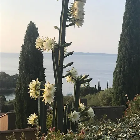 Maison Calme Tres Belle Vue Lavandou בית נופש *